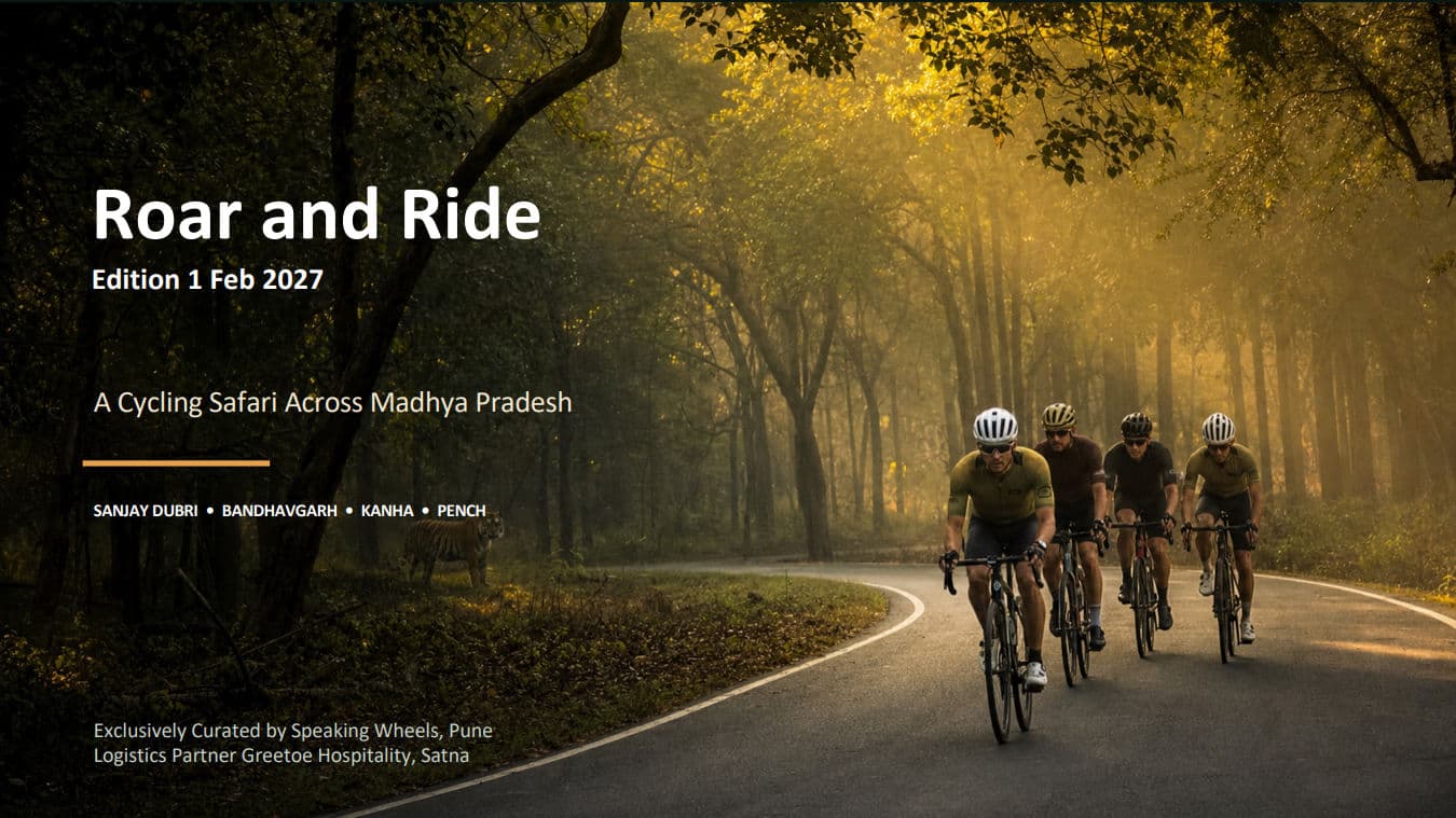 Roar and Ride: A Cycling Safari Across Madhya Pradesh image 1